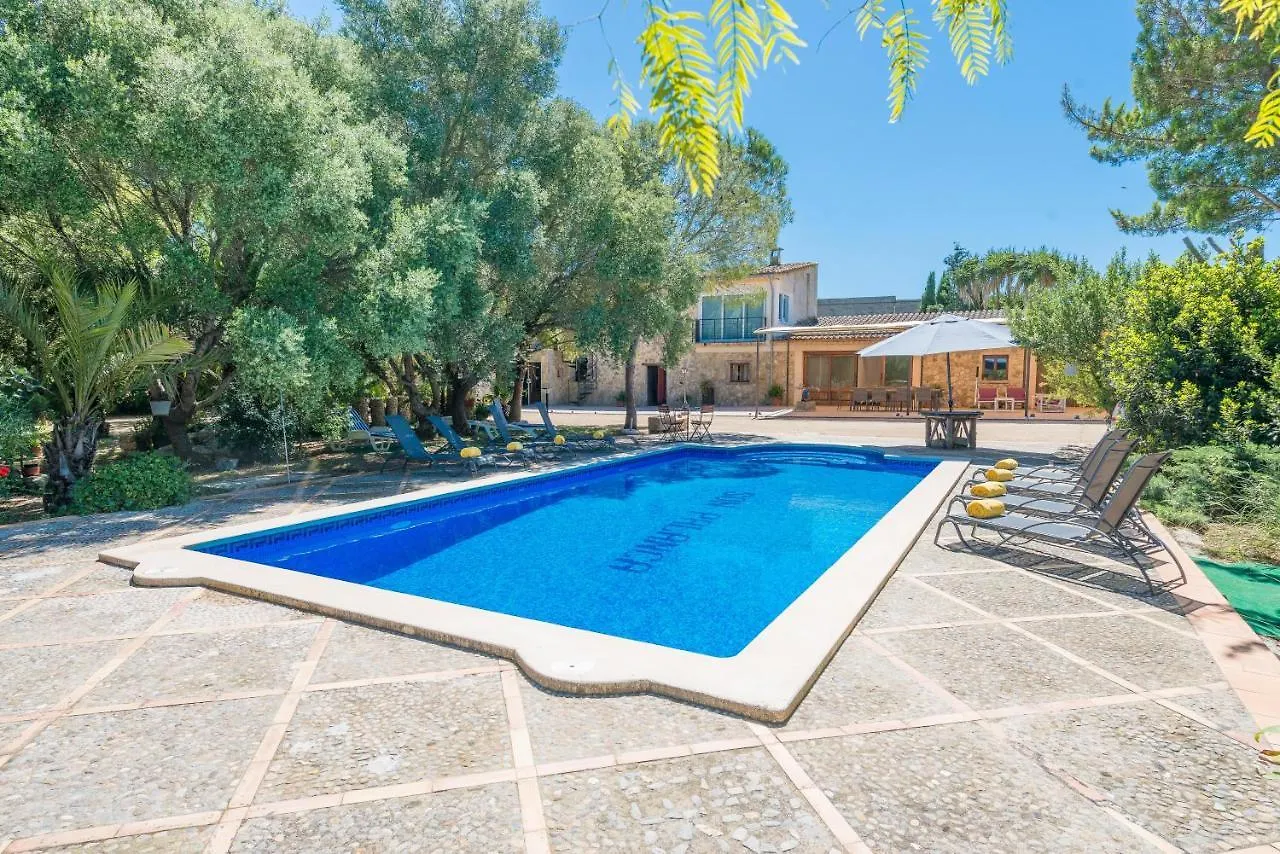 Villa Son Palanca By Mallorca Villa Selection Sineu